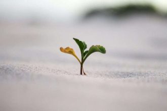 jeremy-bishop-vGjGvtSfys4-unsplash-scaled-e1714422292159